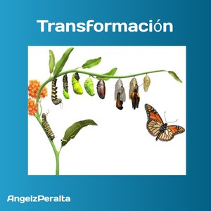 Transformación