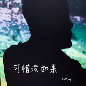 可惜没有如果 (翻自 林俊杰)