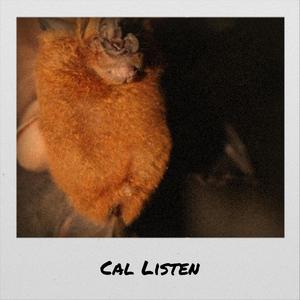 Cal Listen