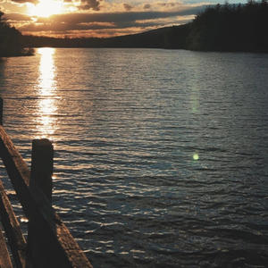 Shady Grove (feat. Andy Mueller)