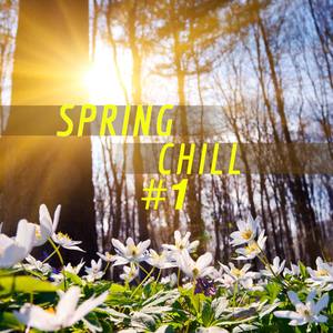 Springs Coming (D-Chill Livin Mix)
