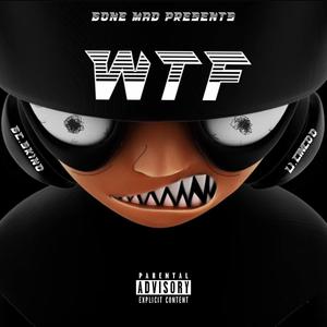 WTF (feat. Li Cincoo) (Explicit)