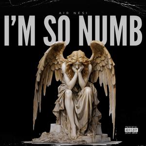 I'm so numb (Explicit)