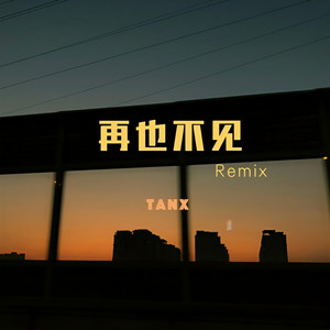 TACE-再也不见 (谭响TanX remix)
