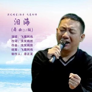 泪海-飞鹰阿伟