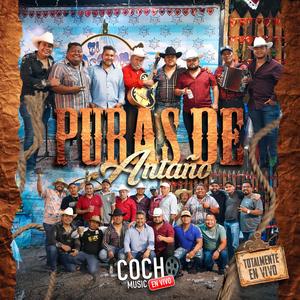 Vino Maldito (feat. Armando Alvear & Rubén López y su Iniciativa Norteña)