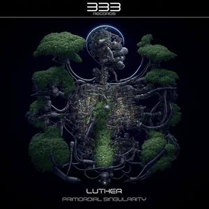 Primordial Singularity