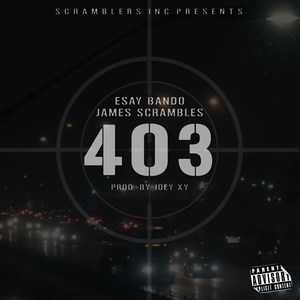 403 (Explicit)