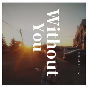 Without You (3 Brid People Bootleg)
