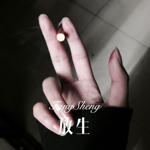 遇见旗袍 (Remix)