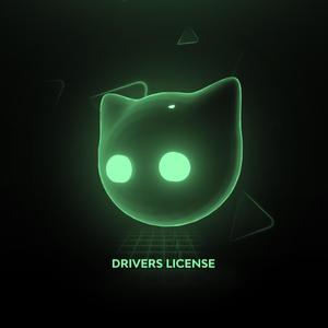 Drivers License (lofi version)