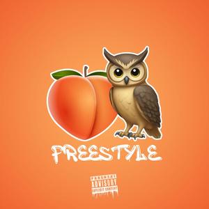 BBLDrizzy Freestyle (Explicit)