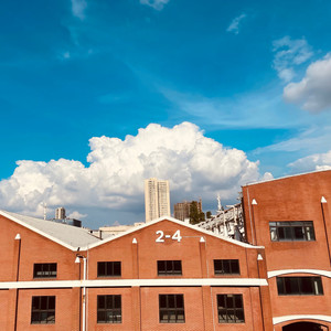 与你相似的故事