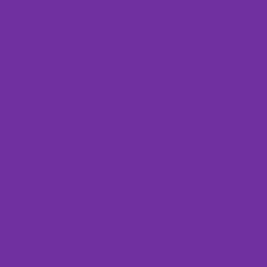 PINE (Explicit)