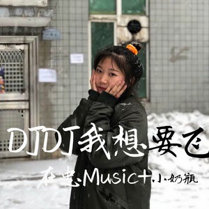 雪映移城封面