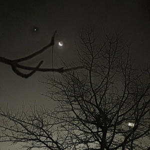 O.M.O (feat. traqqa) (Explicit)