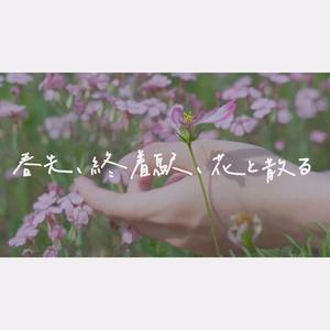 春先、終着駅、花と散る (Acoustic ver.|伴奏)