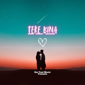 Tere Bina