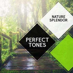 Perfect Tones - Nature Splendor