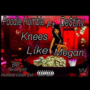 Knees like Megan (feat. De$tiny) [Special Version] [Explicit]