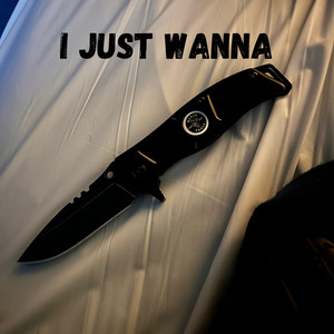 I JUST WANNA (Explicit)