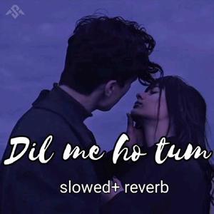 Dil Mein Ho Tum (Slowed & Reverb)