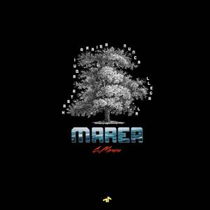 Marea (Explicit)