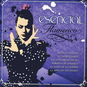 Esencial Flamenco Vol.5