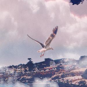 Feel (Slow + Reverb) (Explicit)