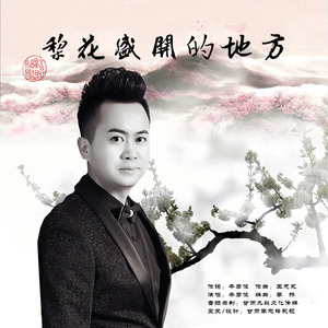 梨花盛开的地方 (伴奏)