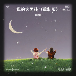 我的大男孩-刘德斌