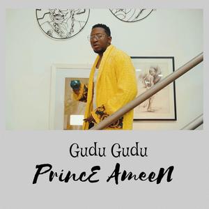 GuDu GuDu