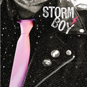 Storm Boy