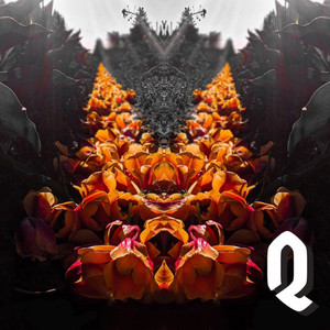 Q