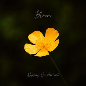 Bloom (feat. Danny McCarthy) [Acoustic]