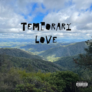 Temporary Love (Explicit)