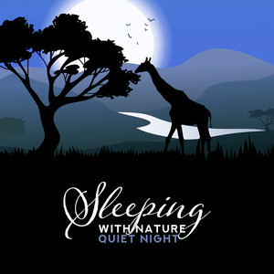 Sleeping with Nature: Quiet Night, Healthful Experience, Soothing Relaxation, Liquid Bliss