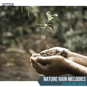 Nature Rain Melodies - Colsons Falls