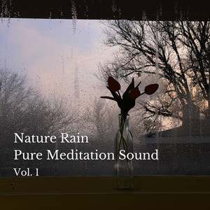 Nature Rain Pure Meditation Sound Vol. 1