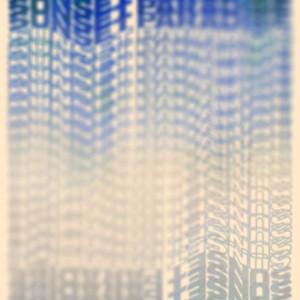 Ssp4Radise (Explicit)