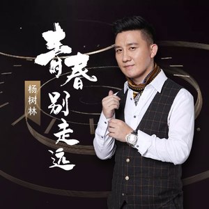 青春别走远 (独唱版)
