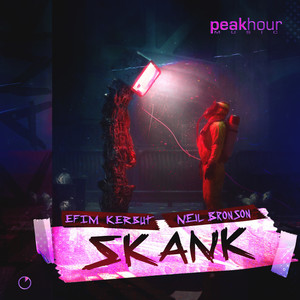 Skank (Extended Mix)