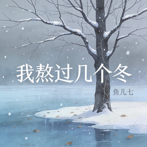 我熬过几个冬