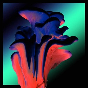 Raising Bobby (Explicit)