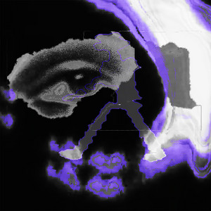 Bag of *** (Explicit)