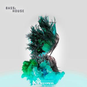 Bass & House