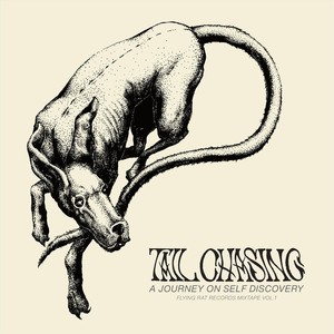 Tail Chasing (Explicit)