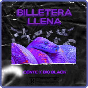 Billetera llena