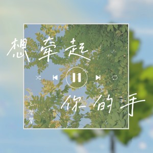 想牵起你的手