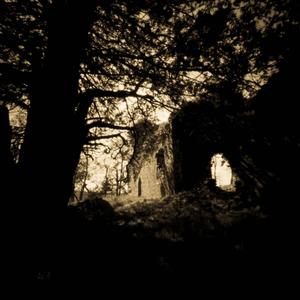 wthe freak (Explicit)